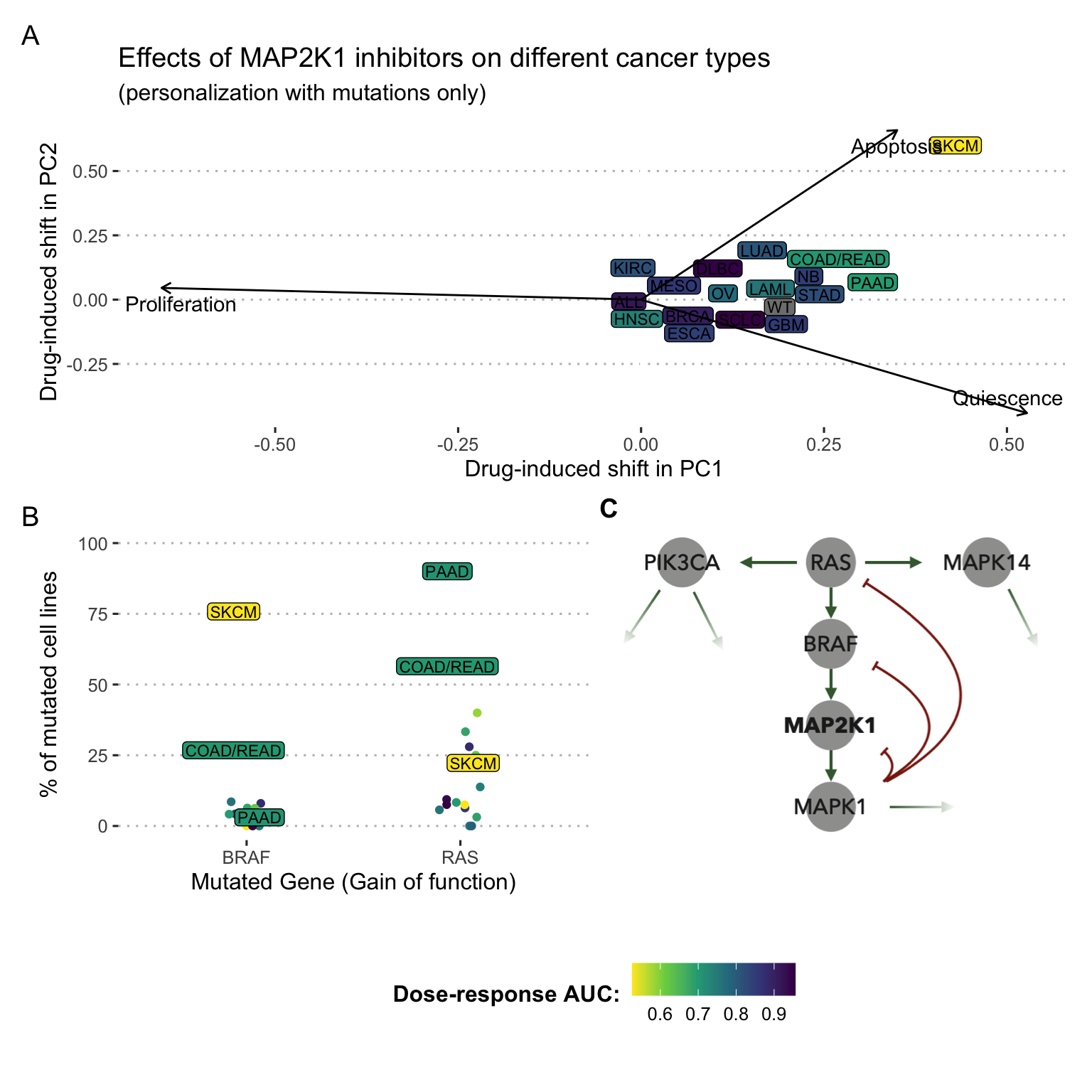 PROFILE-generated models and sensitivites to MAP2K1 inhibitors averaged per cancer type. (A) Effects of MAP2K1 inhibitors on personalized logical models averaged per cancer types and represented in a normalized PCA space with super-imposed original phenotypes. (B) Proportion of BRAF- and RAS-mutated cell lines in some cancer types. (C) Zoom on the MAPK pathway of the logical model used.