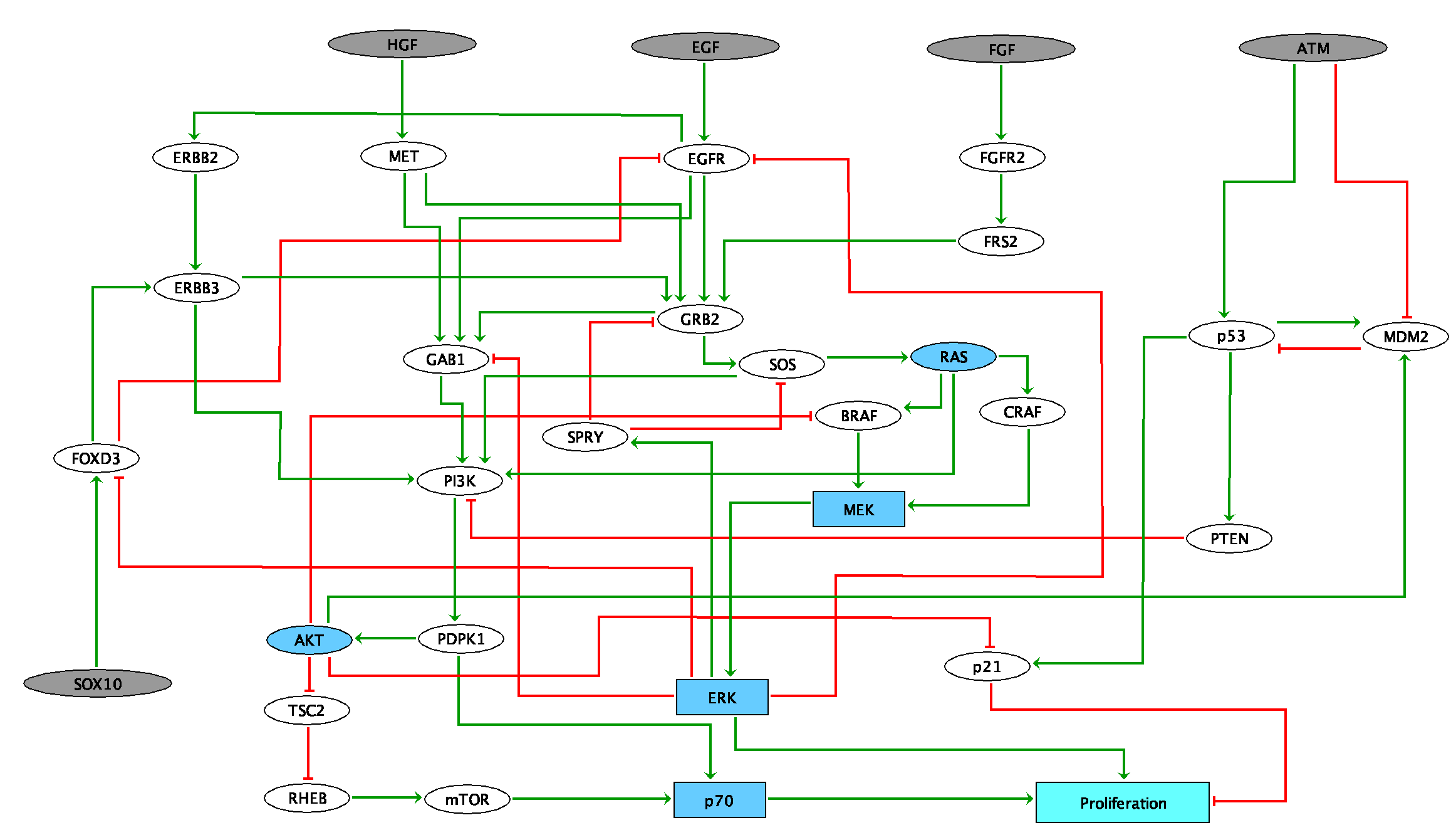 Logical model of signaling pathways around BRAF in colorectal andmelanoma cancers. Grey nodes represent input nodes, which may correspond to the environmental conditions. Square nodes represent multi-valued variable (MEK, ERK, p70 and Proliferation). Dark blue nodes accounts for families (several genes/entities for one node). Light blue node represents the phenotypic read-out of the model, i.e., Proliferation.