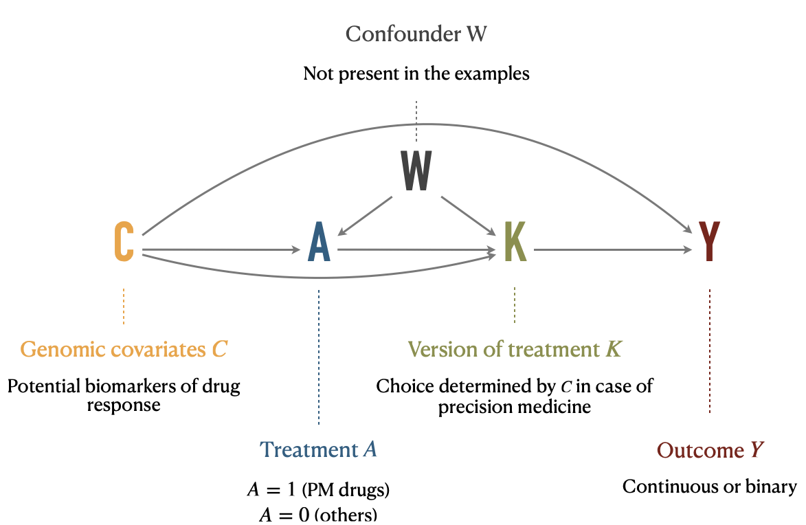 Causal diagram illustrating relations between variables under multiple versions of treatment. Treatment \(A\), version of treatment \(K\), outcome \(Y\), and confounding variables \(C\) and \(W\) are placed in a causal digram, along with their interpretation in the precision medicine application.