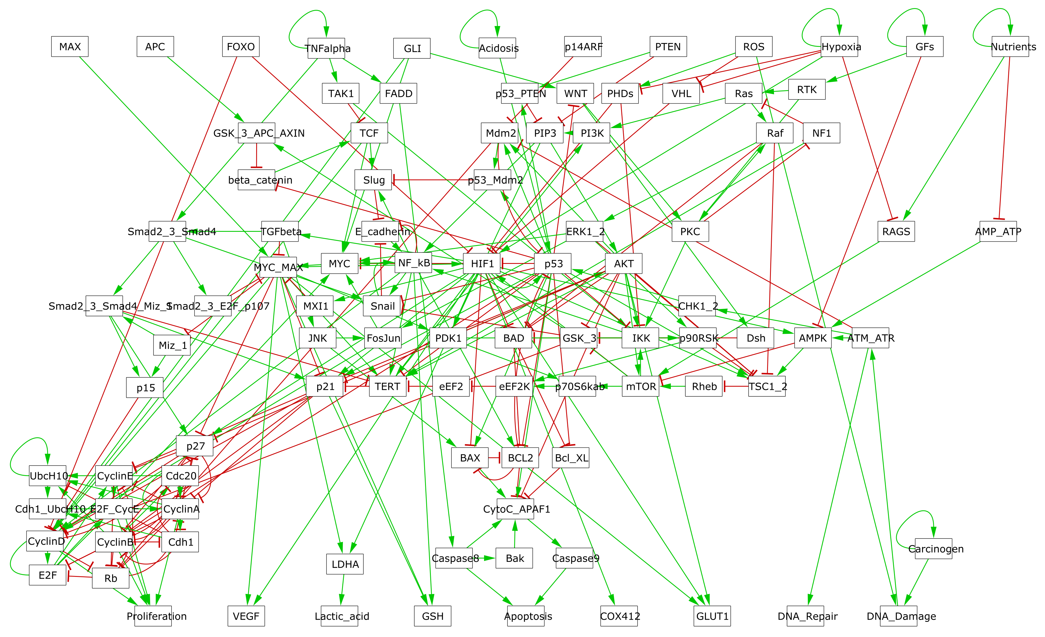 GINsim representation of the logical model described in Fumia and Martins (2013).