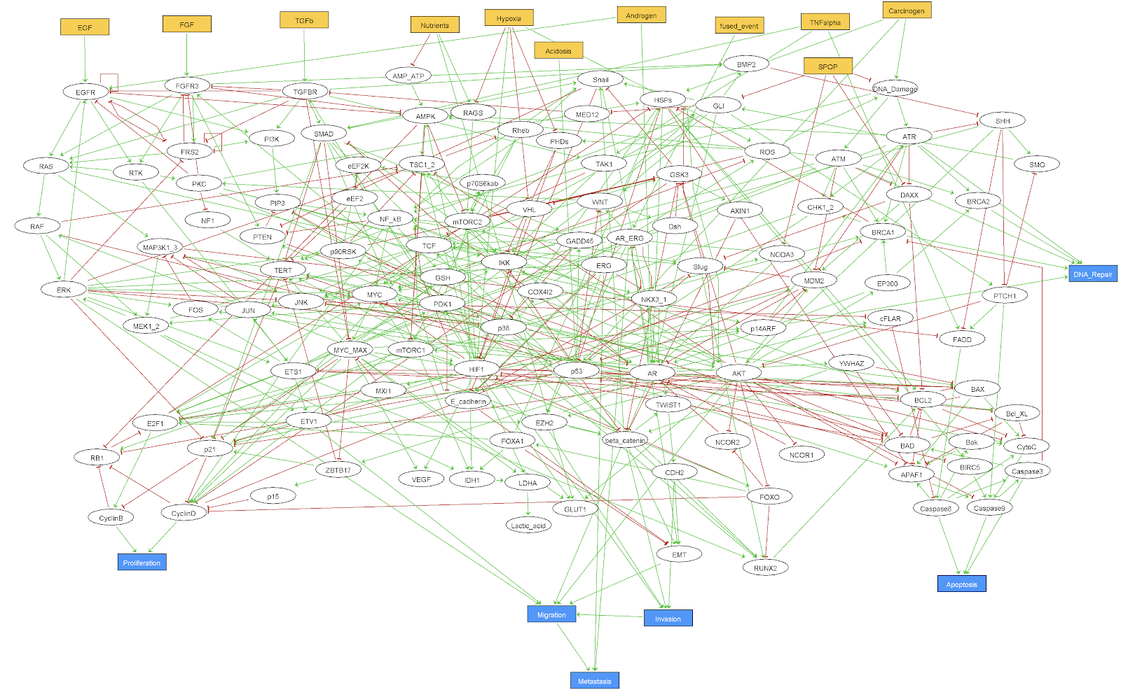 GINsim representation of the 'Montagud' logical model of prostate cancer.