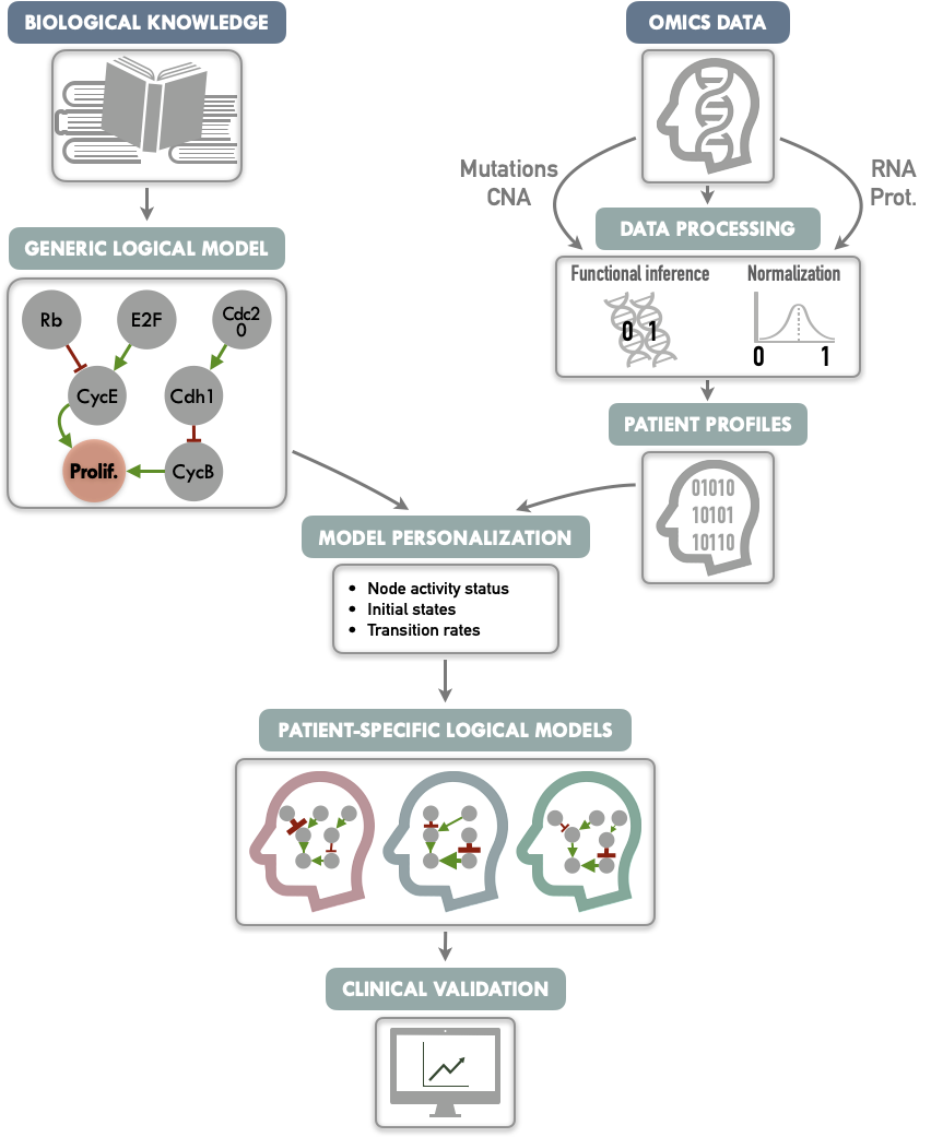 Graphical abstract of PROFILE method to personalize logical models with omics data. On the one hand (upper left), a generic logical model, in a MaBoSS format is derived from literature knowledge to serve as the starting-point. On the other hand (upper right), omics data are gathered (e.g., genome and transcriptome) as data frames, and processed through functional inference methods (for already discrete genome data) or binarization/normalization (for continuous expression data). The resulting patient profiles are used to perform model personalization, i.e., adapt the generic model with patient data. The merging of the generic model with the patient profiles creates a personalized MaBoSS model per patient. Then, biological or clinical relevance of these patient-specific models can be assessed.