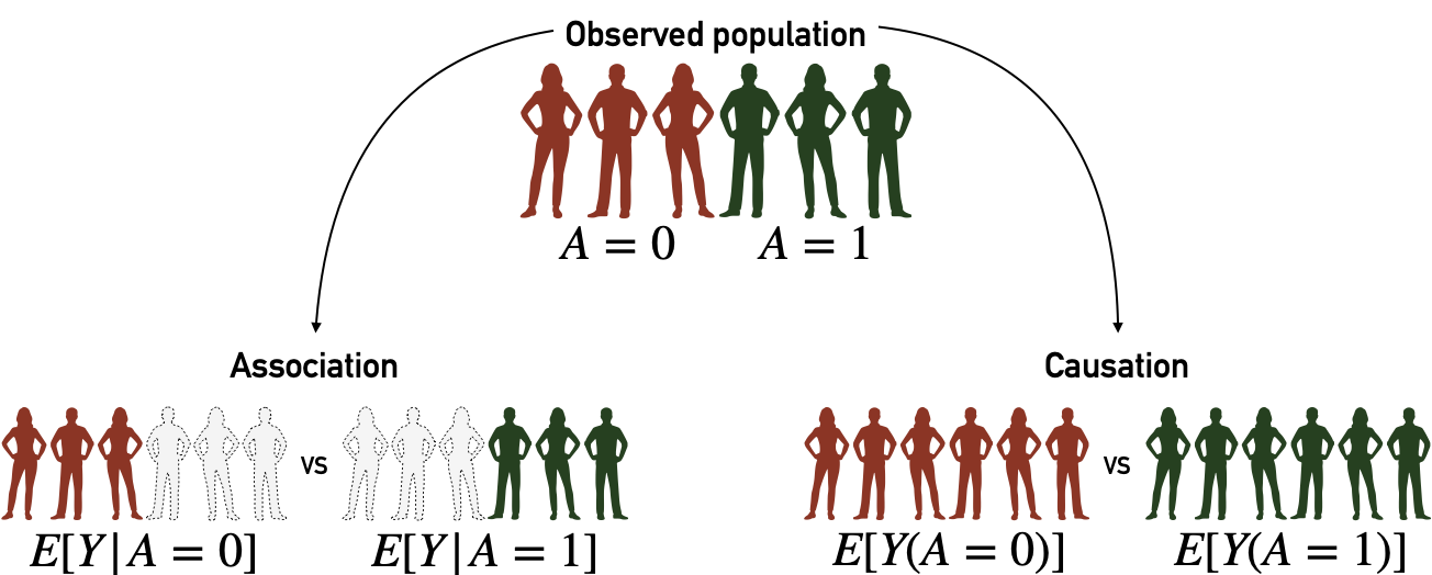 Association, causation and their associated cohorts. Association analyses are based on observed cohorts and conditional probabilities. Causation analyses are based on counterfactual variables and cohorts.