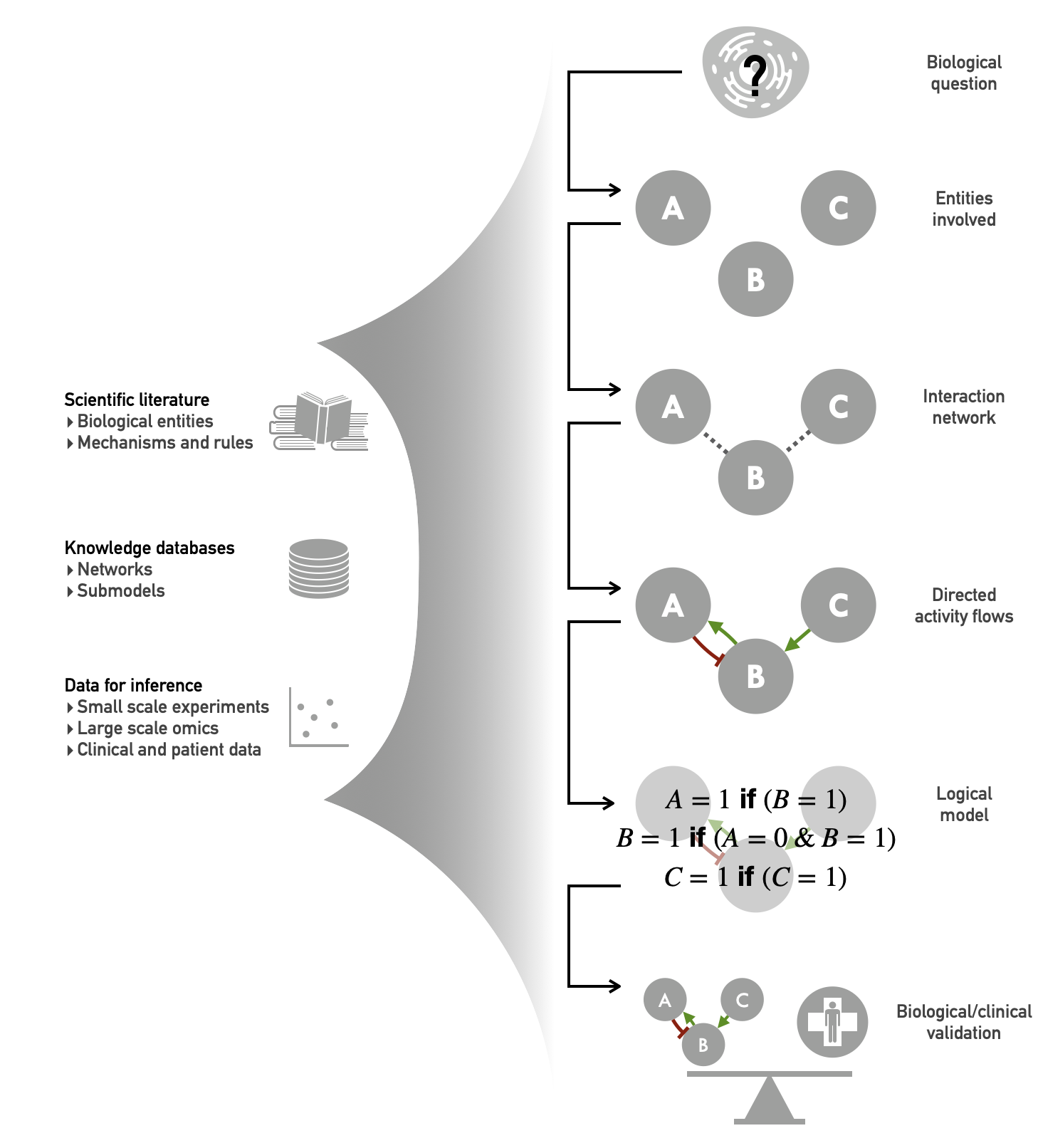 Data integration in logical modeling. The main types of data used are shown on the left; the essential steps of the logical modeling are shown linearly on the right.