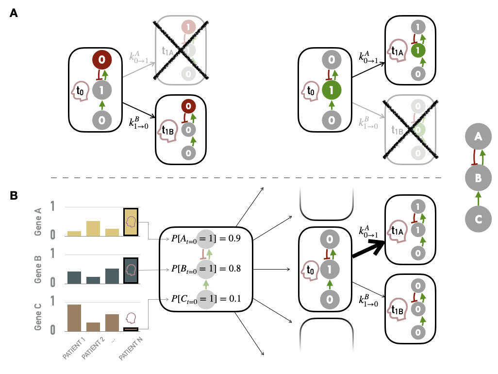 Methods for personalization of logical models. (A) Personalization with discrete data, such as mutations, with some nodes forced to \(0\) based on loss of function alteration (left) or \(1\) based on gain of function/constitutive activation (right). (B) Personalization with continuous data used to define the initial conditions of nodes and to influence the transitions rates and the subsequent probabilities of transition in asynchronous update; the graph on the left represents the normalized values of genes A, B and C for patients 1, 2 and N; the right side represents the personalization of logical model using values from patient N (red profile), first defining the initial probabilities of node activation (middle) and then influencing the probabilities of transitions from one state to another (right).