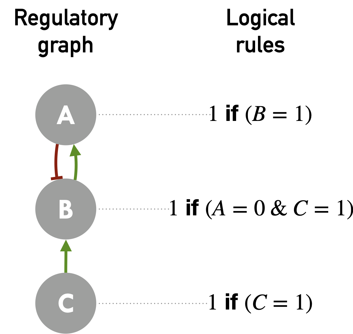 A simple example of a logical model. Regulatory graph on the left with positive (green) and negative regulations (red); a set of possible corresponding logical rules on the right.