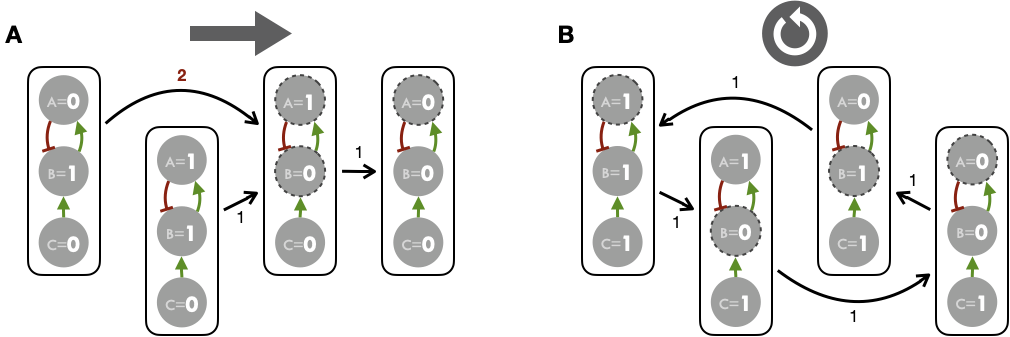 State transition graph and synchronous updates. Stable state (A) and limit cycle (B) attractors obtained for the example logical model with synchronous updates (all possible updates simultaneously). Figures above/below STG edges correspond to the number of nodes updated in each transition.